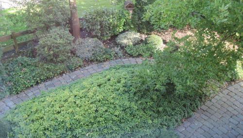 Apartment nahe JConstructor Uni - Foto 5, Garden view