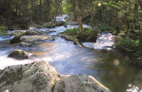 Ferienwohnung Familie Resch - Foto 24