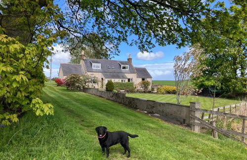Eastwood Cottage - Photo 14