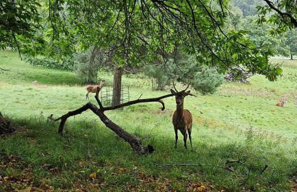 Folly View - Private, peaceful apartment with stunning views. - Foto 37