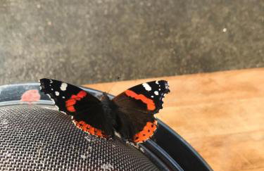 Domek Walentinki - Foto 25