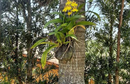 Chácara em Atibaia - Foto 33