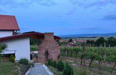 Kuća za odmor Baron - Foto 53