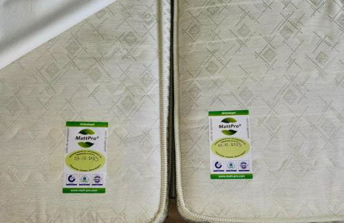 Ferienwohnung Kranichnest - Foto 35