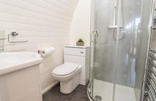 Gander Pod at Salford Court Farm Fishing Cabins - Foto 8