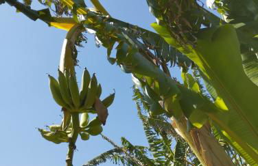 CASA VACANZE FONDACO DI SCILLATO - Foto 37