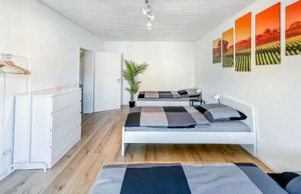 Houses in Gau-Bischofsheim - Foto 7