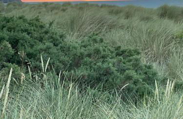 Bryntivy - a cheerful stone cottage close to beach - Foto 15