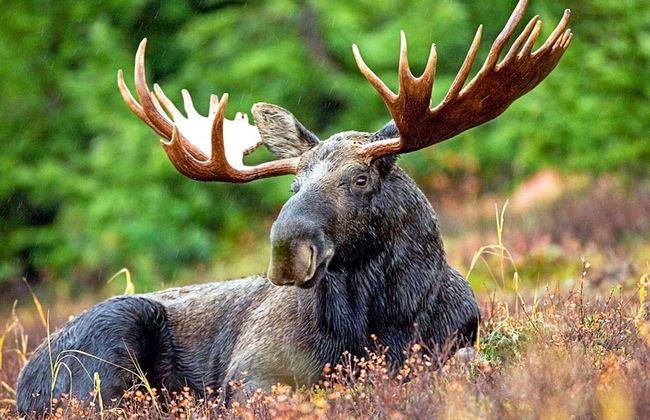 Lakefront Cottage in Torsebo - Foto 16