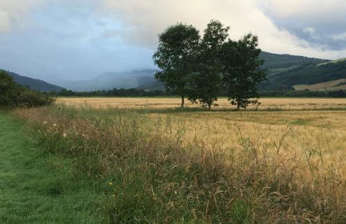 Annie’s Flat - Foto 23