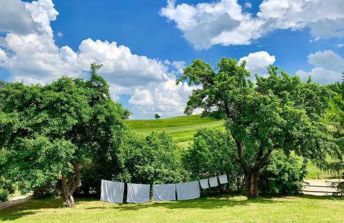 Cisowe Wzgórze - Foto 23