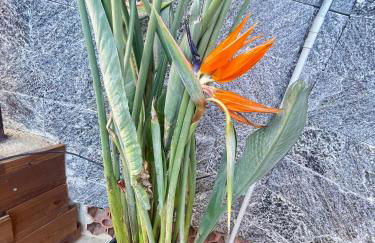 La Casa Bianca by M&G - Foto 49