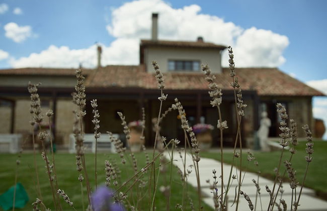 Villa Panorama - Photo 50