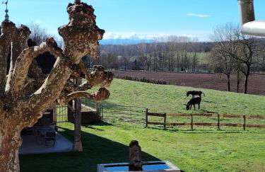 Gite Les Platanes - Foto 11