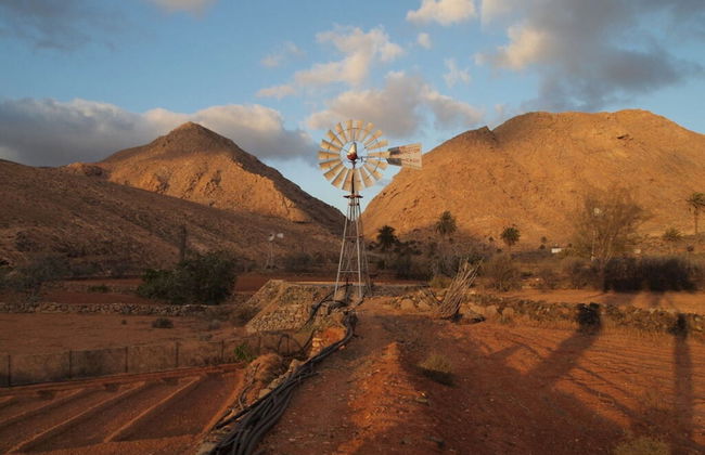 Apartment in Sonnen - Foto 15