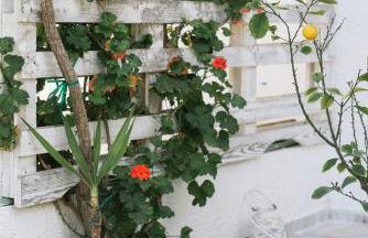 Resort Village - Foto 64