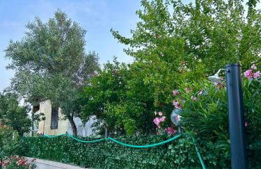 Κτήμα Καρνέση - Photo 23