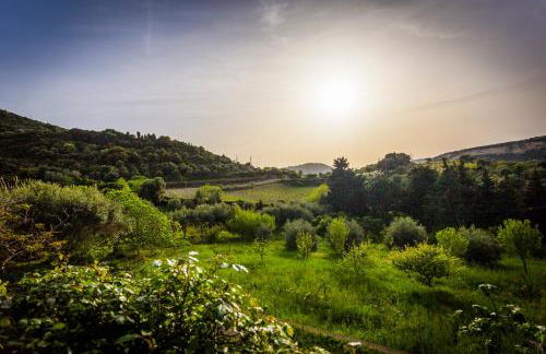 La Tinaia Country House - Foto 85