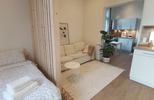 FeWo 1 Zimmer Apartment barrierefrei in Berne - Photo 1