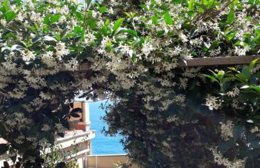 Raggio di Luna - Foto 17