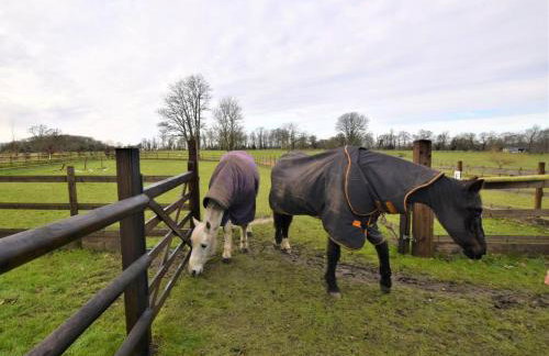 1 Bed in Beccles oc-65080 - Foto 20