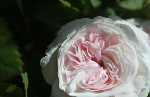 Chiesa Ignano 1778 - Photo 71