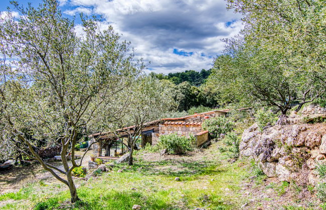 Chez Canard - Foto 39