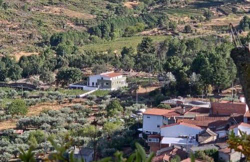 Raposa Verde - Agroturismo - Foto 8