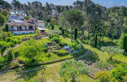 Mas Tomasi 264 - Foto 36