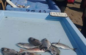 La Maison de Valentino - Foto 38