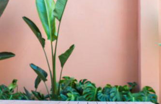 Apartamento moderno con terraza en el centro - Foto 21