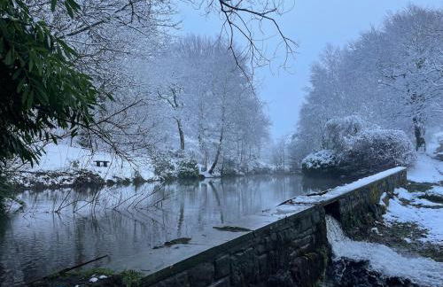 Farmhouse Feels & Peak Views - Foto 40