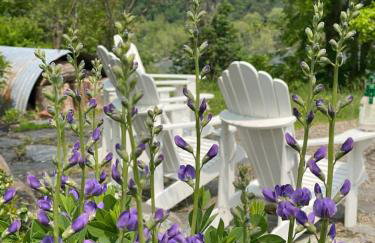 Riverview Suite at La Soledad - Foto 18