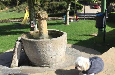 apartamentos turisticos san juan de la peña - Foto 38