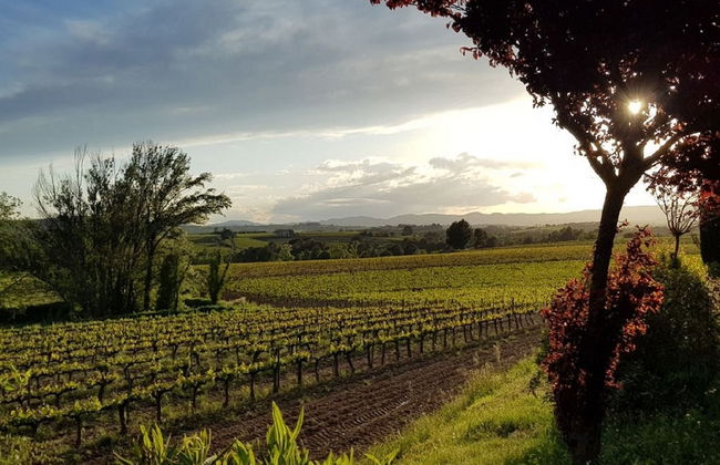 Cozy Cottage in Subirats With Swimming Pool - Foto 20