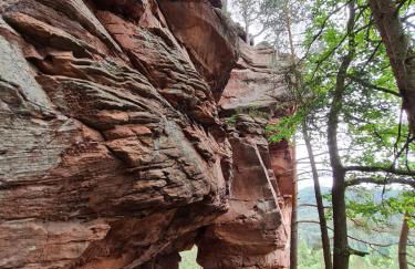 Fels- und Seenland - Foto 1