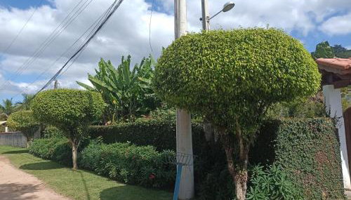 CASA DE CAMPO A TOCA - Foto 2