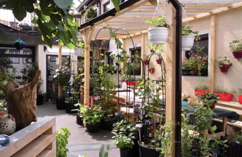 Ferienwohnungen Calwer Höfle Marktplatz - Foto 39