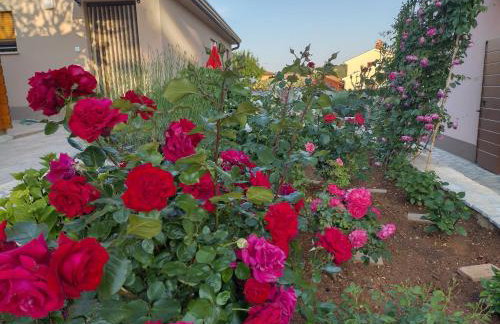 Apartmani Bernarda - Photo 69