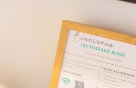 Les roseaux bleus - Foto 48