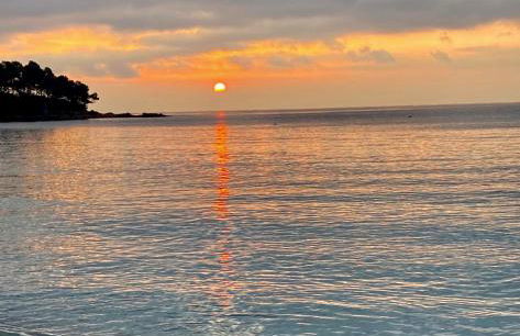 Résidence front de mer - Studio climatisé classé 2 étoiles avec jardin - Foto 8
