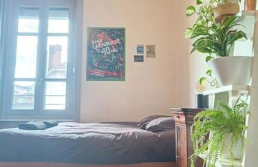 Spacieux T3 80m2 plein centre presque ile ! - Foto 8