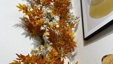 Apartamento Mamalú Jerez - Foto 2