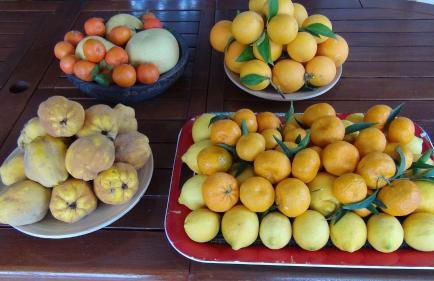 Panorama Villa Sea View - Photo 133