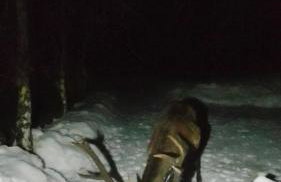 Beskidzka Ostoja - Foto 34