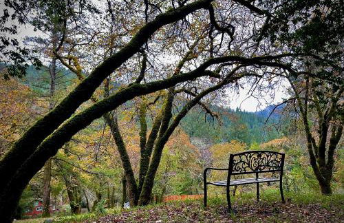 Avenue of the Giants River View Home (#1) - Foto 30