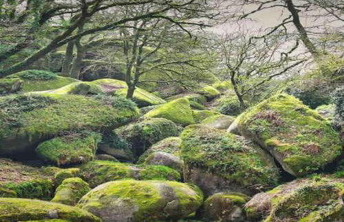 Stone House in Huelgoat, Brittany - Foto 36