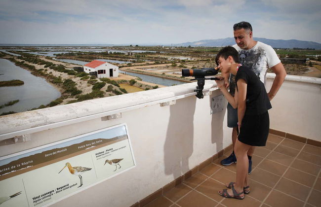 Visite guidée de MónNatura Delta de l'Èbre - Photo 8