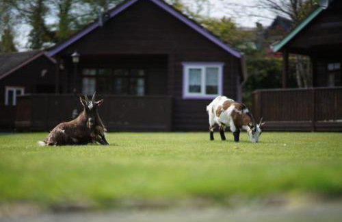 River Edge Lodges - Foto 12