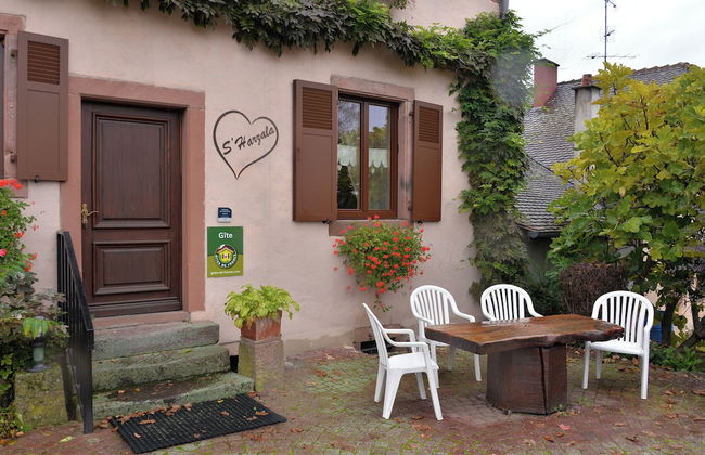 S'harzala Rouge - Foto 23